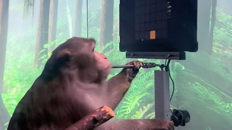 Elon Musk’s Neuralink Makes A Monkey Play Video Game With The Mind
