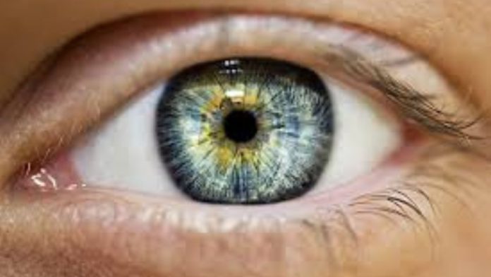 Artificial Intelligence Evaluate Vision Loss