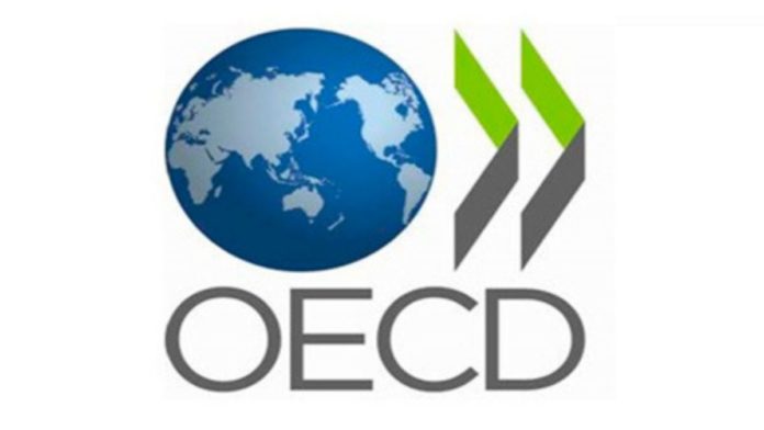 OECD AI framework