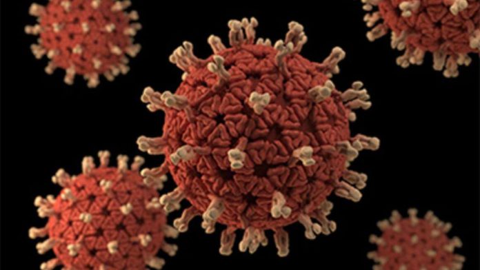 AI 3D structure rotavirus spike protein