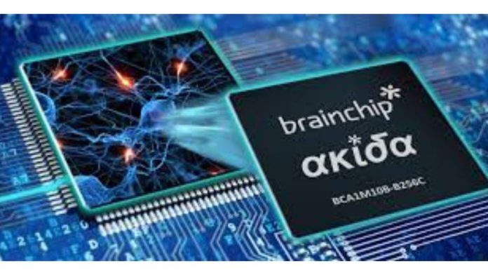 brainchip launches ai accelerator program