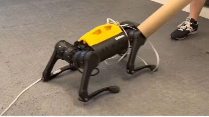 robotic dog with ai brain taught itself to walk