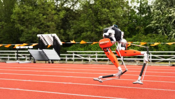 Oregon state university Cassie Guinness World Record 100-meter sprint