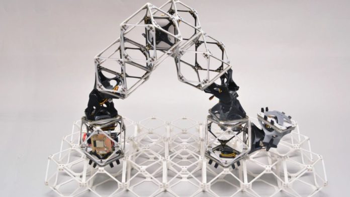 voxel MIT self assembly robots