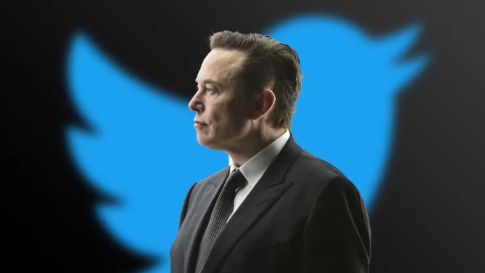 Elon Musk pauses OpenAI to access Twitter chatgpt