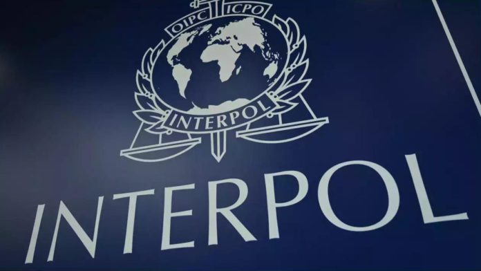 Interpol investigate crimes metaverse