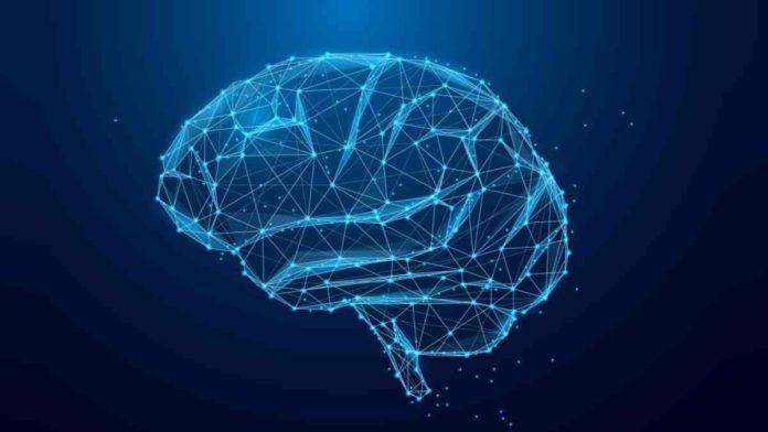 DishBrain receives $600,000 research grant for AI human brain cells fusion