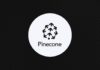 Pinecone