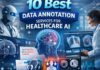 data annotation services