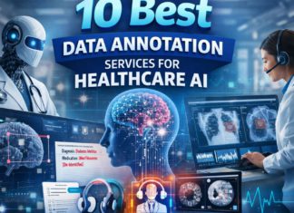 data annotation services