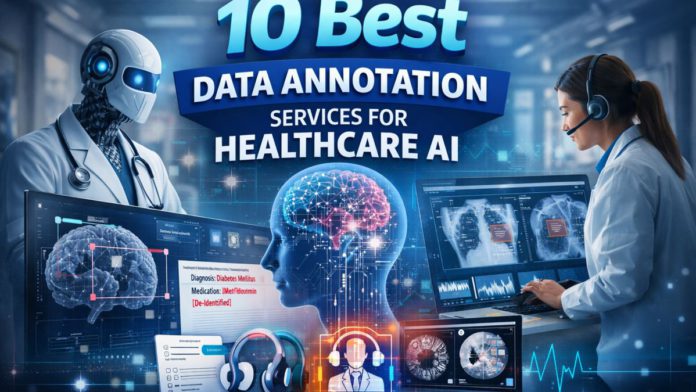 data annotation services